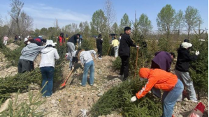 8e3bd13d83cd4602b18c778e4e4e042b.png image.png